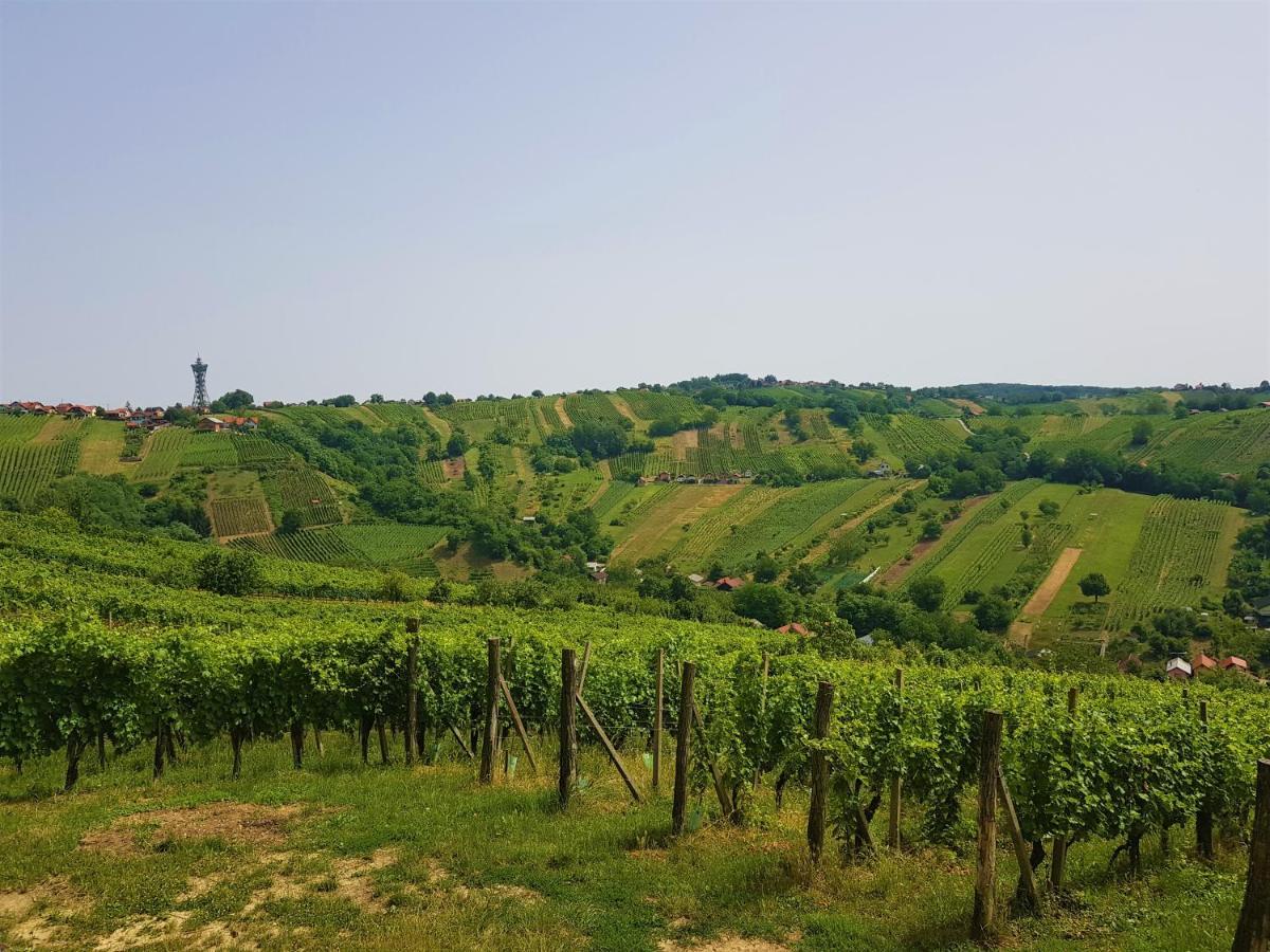 Fado Apartments Lendava Εξωτερικό φωτογραφία